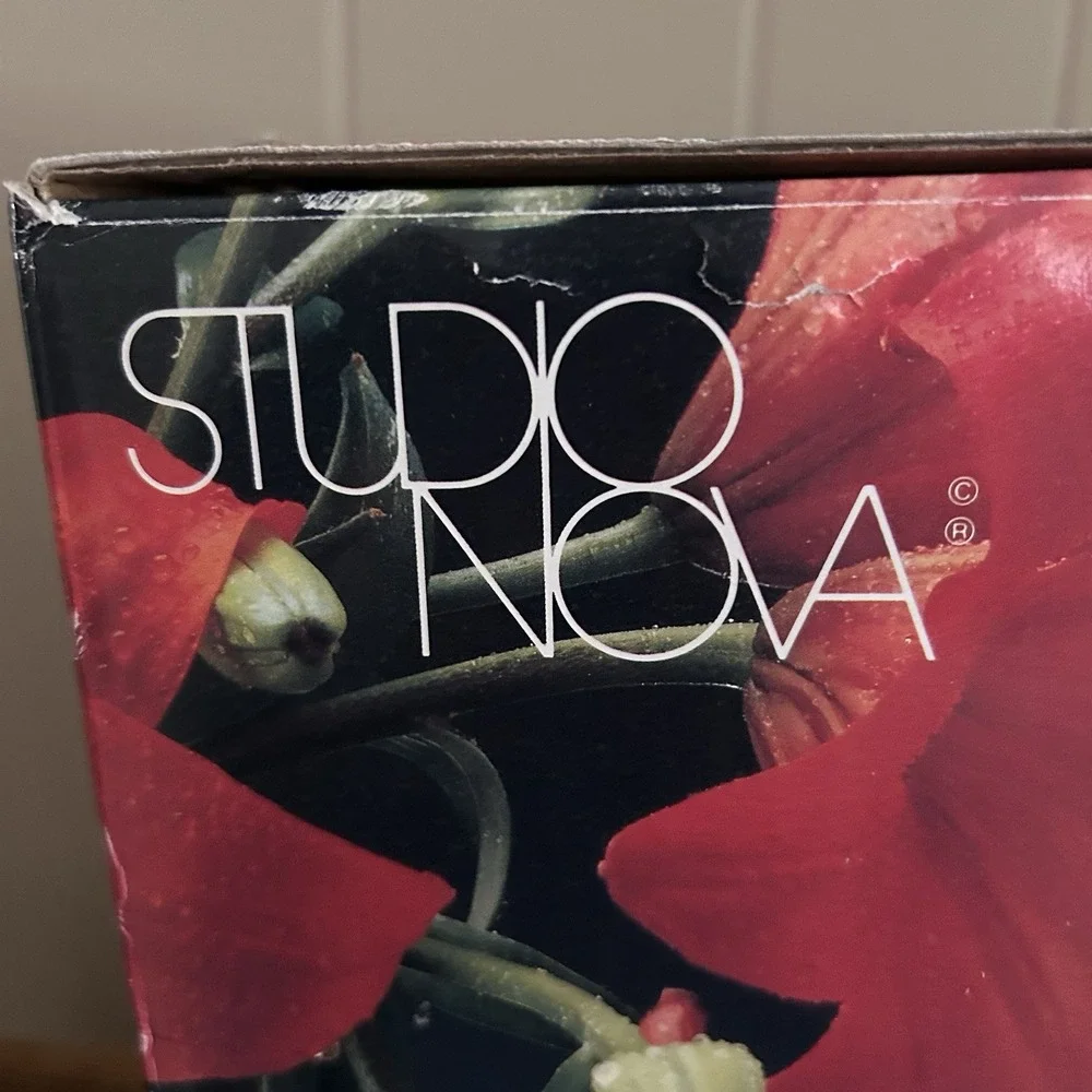 Studio Nova nib studio